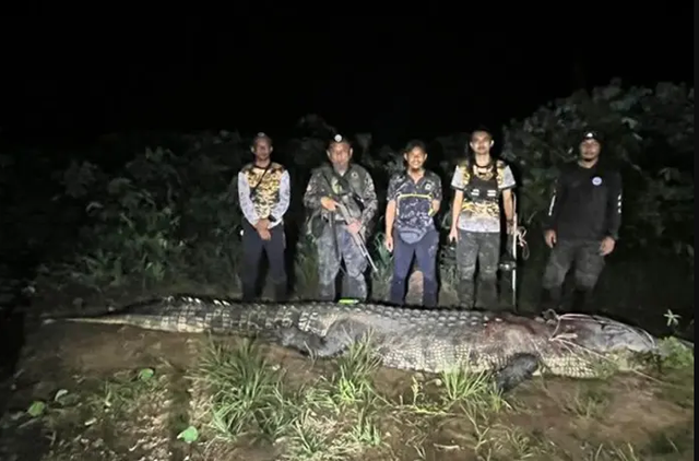 Cần thủ vô tình móc trúng "quái thú" dài hơn 4,5m, nặng trên 1 tấn: Kéo lên mới phát hiện điều bất thường - Ảnh 1.