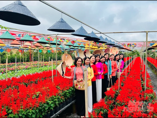 Phát hiện ngôi làng ở Việt Nam có hơn 2.000 giống hoa 'không chạm đất', mỗi lần chăm cây phải làm việc này - Ảnh 5.