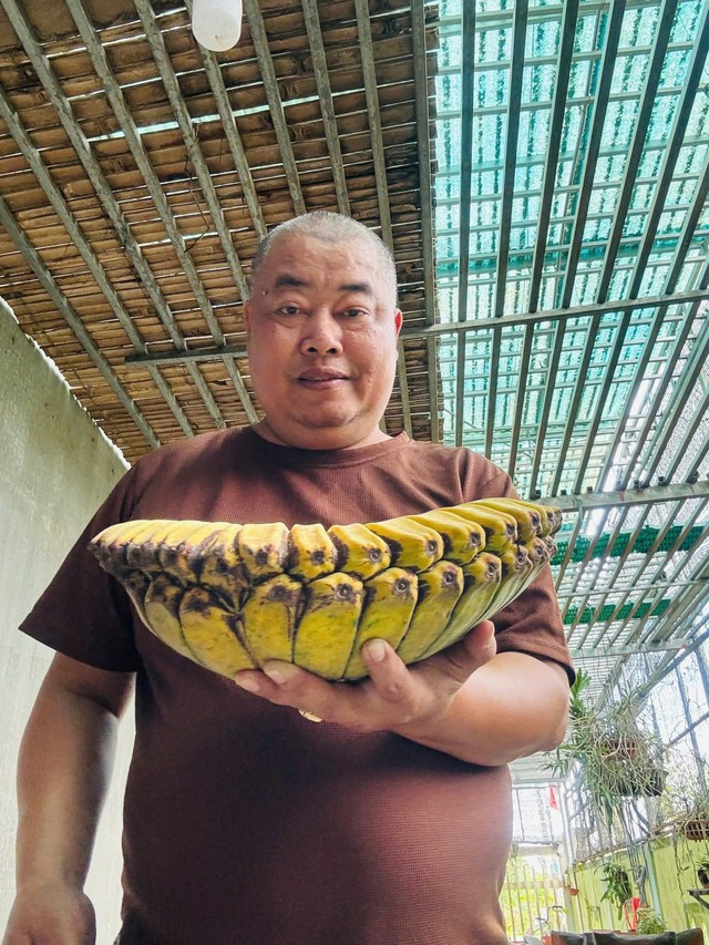 Nải chuối h&igrave;nh b&agrave;n tay Phật tr&ocirc;ng thế n&agrave;o? Gi&aacute; đắt nhất từ trước đến nay - Ảnh 3.