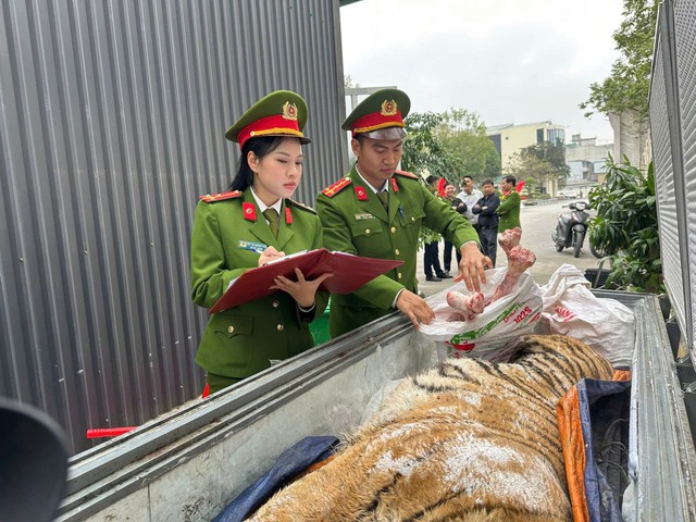 Thanh Hóa triệt phá đường dây mua bán, nấu cao hổ - Ảnh 1.