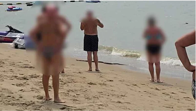 Sinh vật dài ngoằn bất ngờ trồi lên từ biển giữa bãi tắm đông nghịt, du khách hoảng loạn bỏ chạy - Ảnh 1.