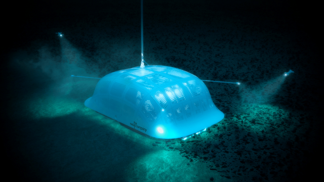 Ẩn mình sau 5 thập kỷ, - Ảnh 3.