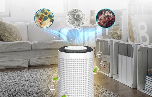 Nhiều người vô tình "mắc sai lầm lớn" khiến máy hút ẩm ngốn điện, không hiệu quả - Ảnh 1.