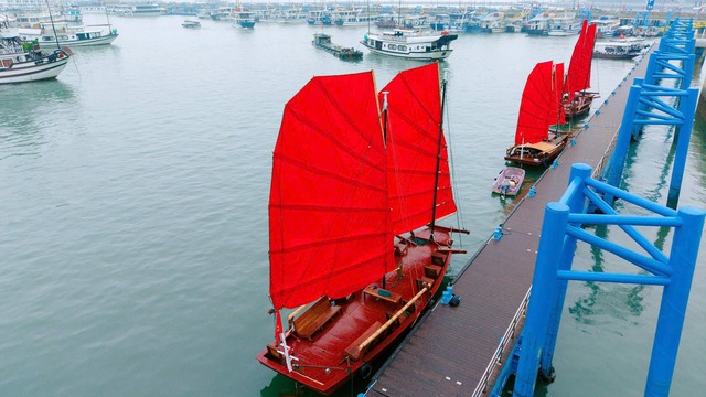 Ch&iacute;nh thức: Tạm dừng hoạt động của thuyền buồm đỏ ven bờ vịnh Hạ Long, l&yacute; do l&agrave; g&igrave;? - Ảnh 8.