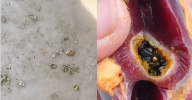 Mổ vịt cúng Tết, người đàn ông sững sờ nhận được “lì xì” trời ban - Ảnh 1.