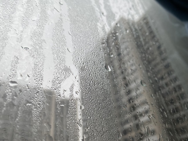 Khi nào trời bắt đầu nồm ẩm? - Ảnh 1.