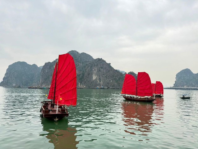 Cảnh tượng ngay lúc này trên vịnh Hạ Long: Sau gần 30 năm mới thấy lại, nhiều người không tin vào mắt mình - Ảnh 1.