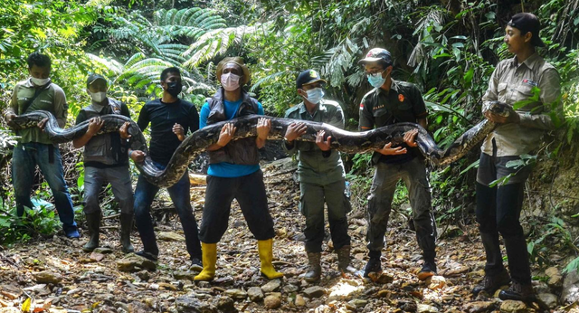 Vô tình bắt được "quái thú" dài hơn 7m, nặng gần 100kg: Guinness tìm tới tận nơi trao chứng nhận - Ảnh 2.