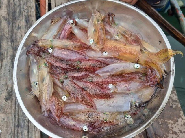 Đặc sản "ăn một lần, nhớ một đời" của tỉnh miền Trung: Chủ tịch tỉnh phải đăng lên Facebook - Ảnh 2.