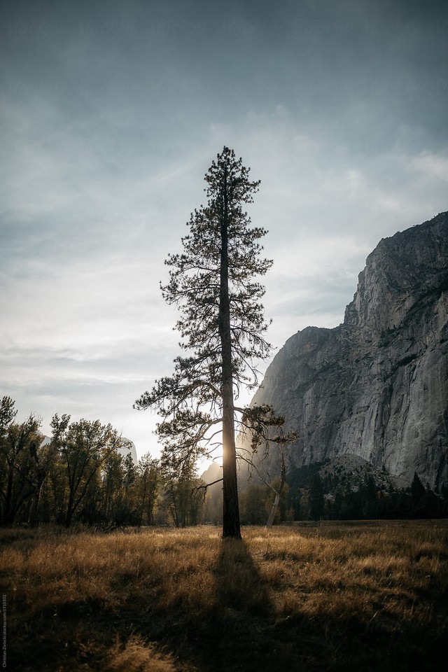 “Lỡ cả đời không rực rỡ thì sao…” và câu trả lời ấm lòng của Khoai Lang Thang - Ảnh 4.