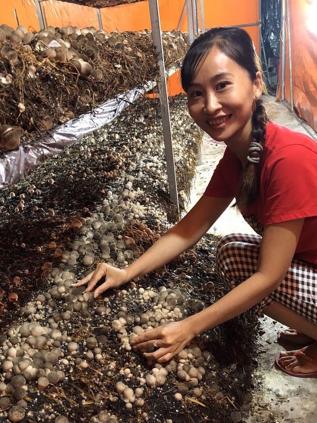 Thứ bị vứt đi được cố Thủ tướng chỉ cách làm đặc sản: Nay giá gần 100.000đ/kg, giúp nhiều nhà đổi đời - Ảnh 8.