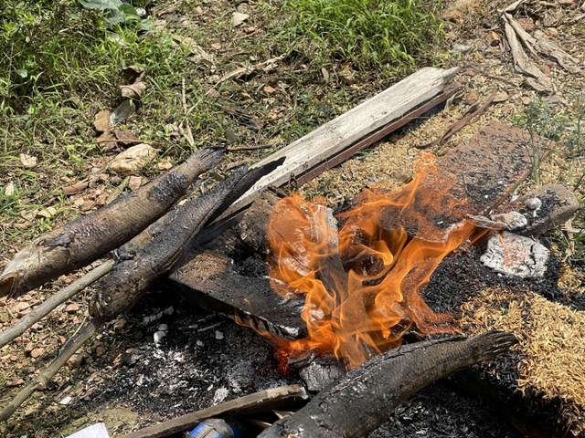 Đặc sản miền Trung nướng bằng lá rừng, vị vừa đắng vừa ngọt, Chủ tịch tỉnh chia sẻ trên Facebook - Ảnh 4.