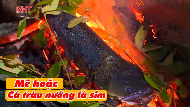 Đặc sản miền Trung nướng bằng lá rừng, vị vừa đắng vừa ngọt, Chủ tịch tỉnh chia sẻ trên Facebook - Ảnh 3.