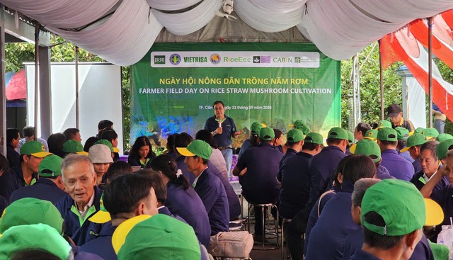 Thứ bị vứt đi được cố Thủ tướng chỉ cách làm đặc sản: Nay giá gần 100.000đ/kg, giúp nhiều nhà đổi đời - Ảnh 9.