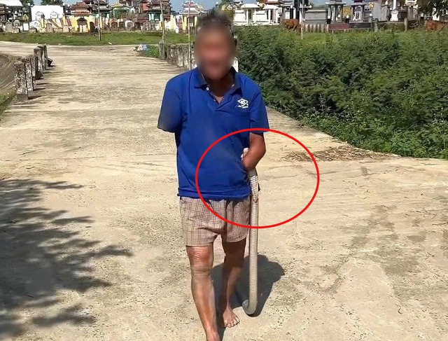 Cụ ông cụt tay kẹp con rắn mang về: Người con trai kể rõ ngọn nguồn phía sau - Ảnh 1.