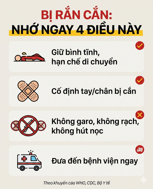 Cảnh báo đặc biệt tới những người bị rắn cắn - Ảnh 3.