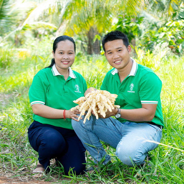 Vợ chồng Thạc sĩ bỏ phố về quê lập nghề "mát-xa hoa dừa": Thu 30 tỷ/năm, xuất khẩu loạt nước lớn - Ảnh 1.