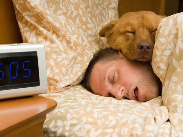 2 ngày nữa là Xuân phân, cổ nhân dặn ‘3 việc phải tránh’: Đọc xong mới hiểu vì sao có nhà cả năm suôn sẻ - Ảnh 2.