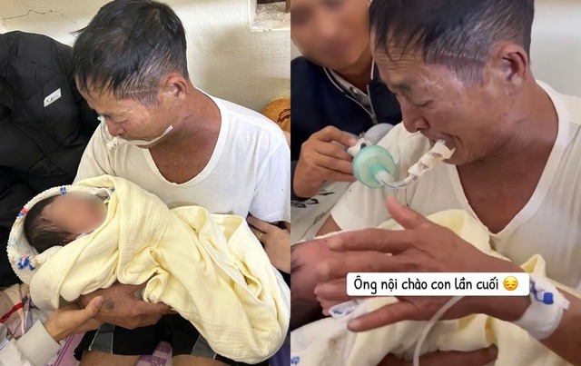 X&uacute;c động cảnh &ocirc;ng nội đeo ống thở, cố bế ch&aacute;u lần cuối trước khi qua đời: Con d&acirc;u chia sẻ chuyện ph&iacute;a sau - Ảnh 1.