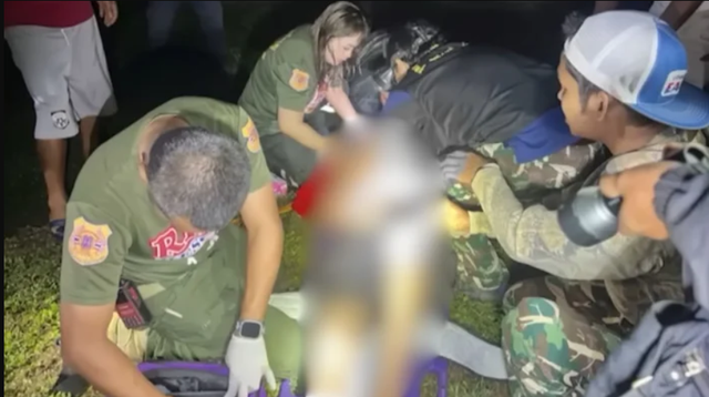 Đi vệ sinh lúc rạng sáng, cụ ông 87 tuổi bất ngờ chạm trán "sinh vật khổng lồ": Cái kết ám ảnh - Ảnh 1.