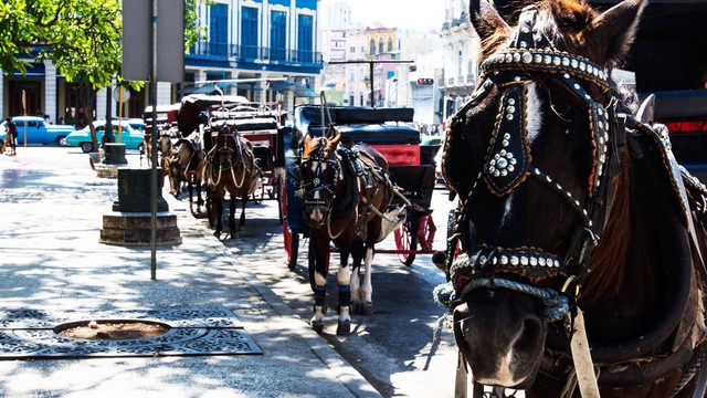 Không còn xăng, phương tiện tưởng chừng 