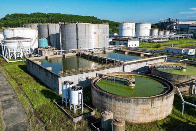 Nông dân Việt Nam nắm giữ mỏ "vàng trắng" khổng lồ: - Ảnh 2.