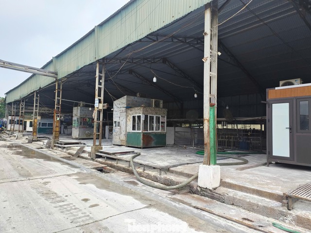 Thông tin hàng triệu phụ huynh quan tâm: Trường nào sử dụng thịt trong đường dây 300 tấn lợn bệnh? - Ảnh 2.