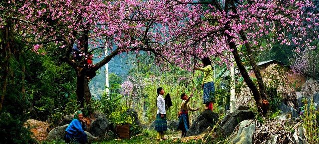 Không phải Bali hay Chiang Mai, báo Tây gọi tên một nơi ở Việt Nam là điểm chữa lành đáng ghé nhất 2026 - Ảnh 3.