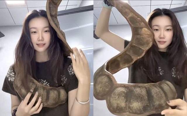 Cô gái thản nhiên quấn "con rắn" khổng lồ quanh người lên máy bay, hành khách xôn xao khi biết đó là gì - Ảnh 1.