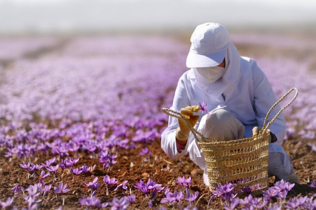 Phát minh "thiên niên kỷ" của Iran rung chuyển thế giới, tạo ra "vàng đỏ" đắt nhất hành tinh - Ảnh 3.