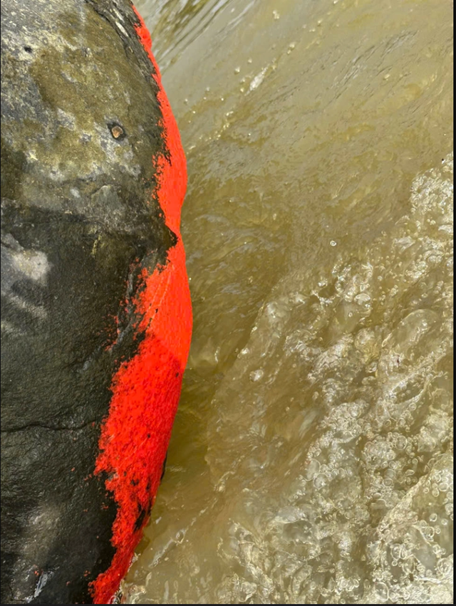 Cảnh tượng lạ trên một dòng sông ở Việt Nam: Tảng đá bỗng đỏ rực như "nở hoa", chính quyền nói gì? - Ảnh 4.