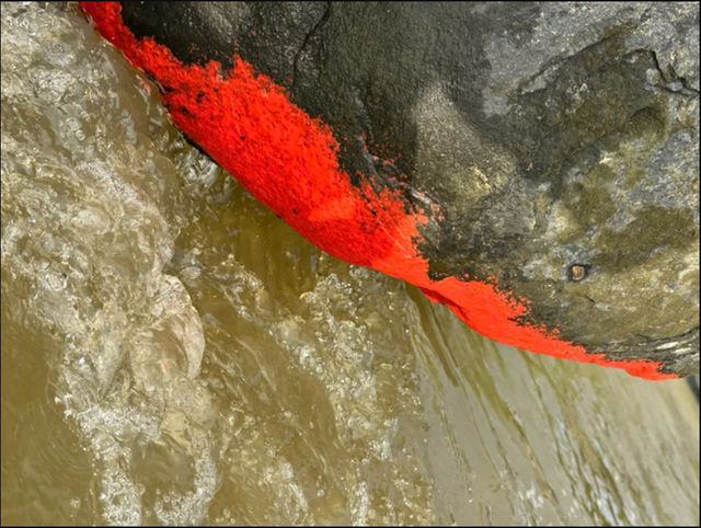Cảnh tượng lạ trên một dòng sông ở Việt Nam: Tảng đá bỗng đỏ rực như "nở hoa", chính quyền nói gì? - Ảnh 3.