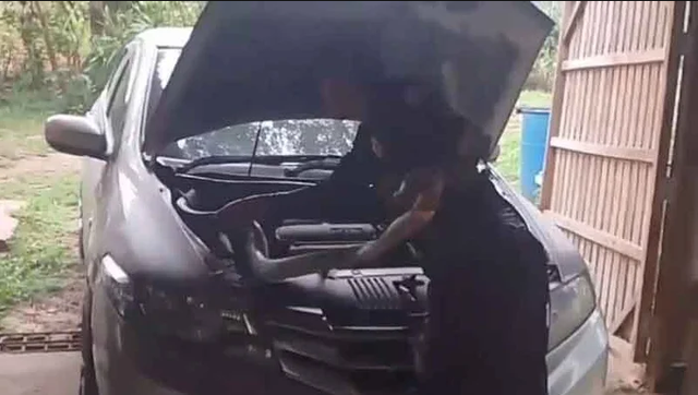 Nghe tiếng động bất thường dưới nắp xe, người đàn ông mở ra rồi kinh hoàng phát hiện 'bóng đen' dài 3 mét - Ảnh 1.