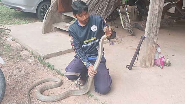 Nghe tiếng động bất thường dưới nắp xe, người đàn ông mở ra rồi kinh hoàng phát hiện 'bóng đen' dài 3 mét - Ảnh 3.