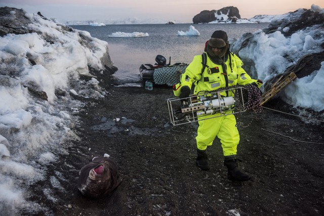 Nam Cực băng tan khiến hơn 120.000 km² đất giàu vàng bạc dần lộ diện: Cuộc đua tài nguyên không còn xa - Ảnh 3.