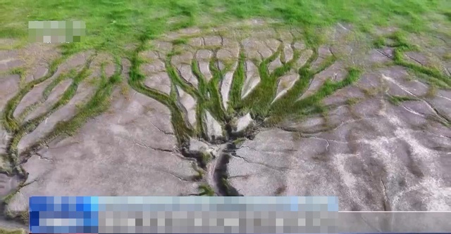 "Rồng" bất ngờ xuất hiện trên mặt sông dịp Thanh Minh, cảnh tượng từ trên cao khiến dân mạng xôn xao - Ảnh 3.