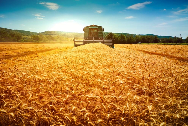 Nga phát minh đột phá trong lĩnh vực giảm thải nông nghiệp - Ảnh 1.