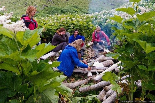 Điều gì ở vùng đất giữa nước Nga khiến cây cối bỗng hóa 