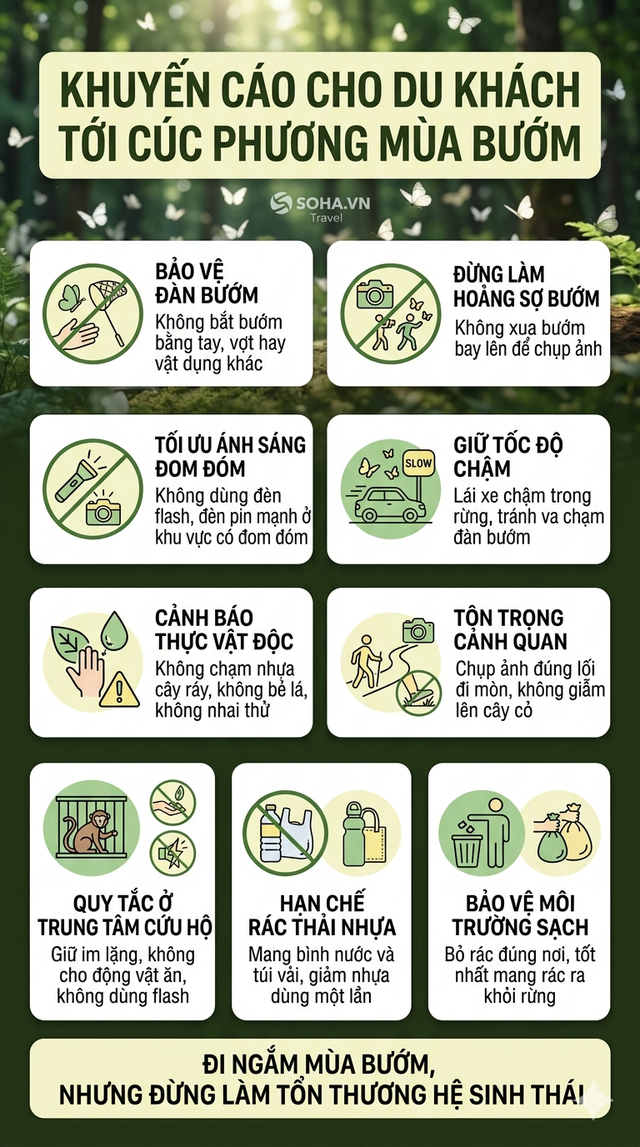 Khuyến c&aacute;o những ai tới Vườn Quốc gia C&uacute;c Phương ngay l&uacute;c n&agrave;y - Ảnh 7.