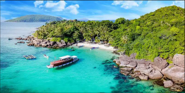 Việt Nam có một nơi vượt Phú Quốc, Nha Trang để vào top 7 điểm trải nghiệm rùa biển nổi bật nhất thế giới - Ảnh 4.