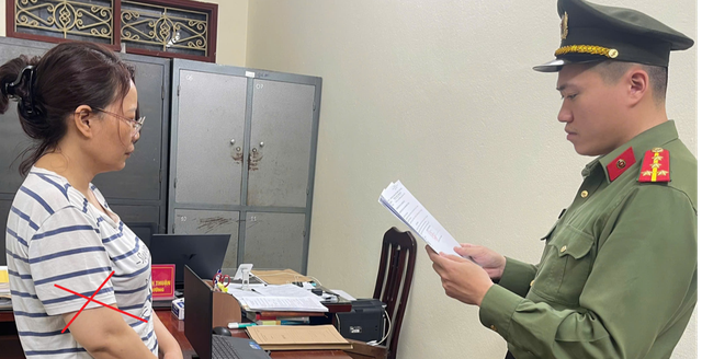 Thi hành lệnh bắt tạm giam Cao Thị Hạnh - Ảnh 1.