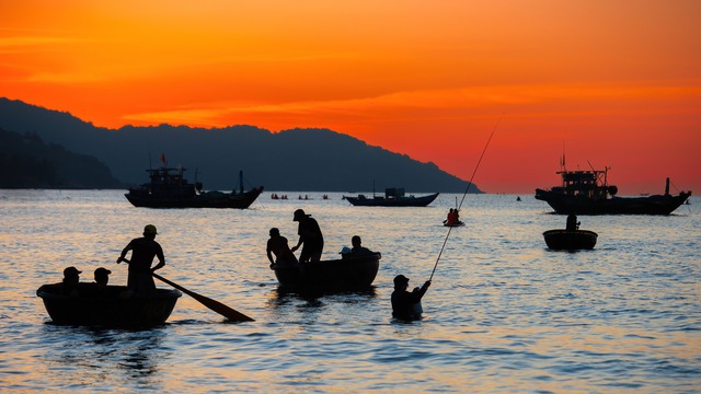 Cảnh tượng tr&ecirc;n b&atilde;i biển Đ&agrave; Nẵng l&uacute;c s&aacute;ng sớm khiến nhiều người thốt l&ecirc;n: Kh&ocirc;ng tin v&agrave;o mắt m&igrave;nh! - Ảnh 2.