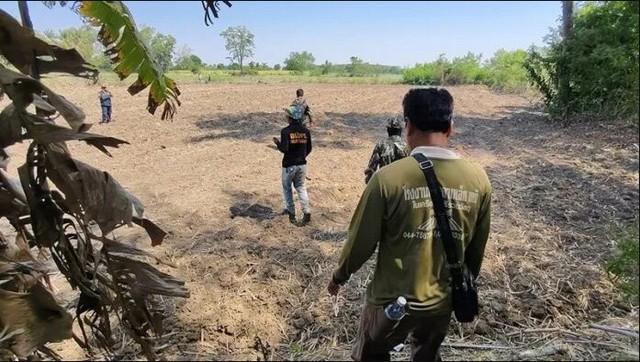 Sinh vật bí ẩn phá nát vườn chuối suốt 2 tuần: 60 người truy tìm khi camera nhiệt ghi lại bóng dáng lạ - Ảnh 2.