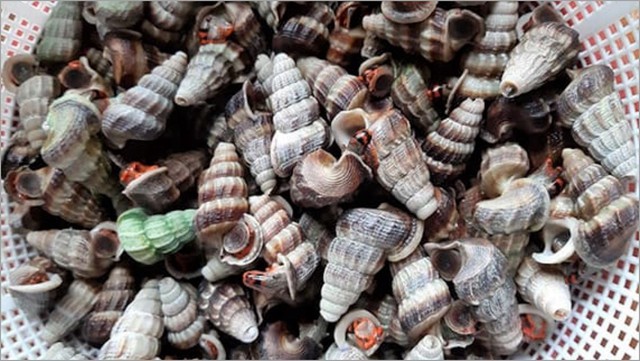 Khách Nga tròn mắt ngạc nhiên khi ăn món bình dân bán đầy vỉa hè Việt Nam, thốt lên: