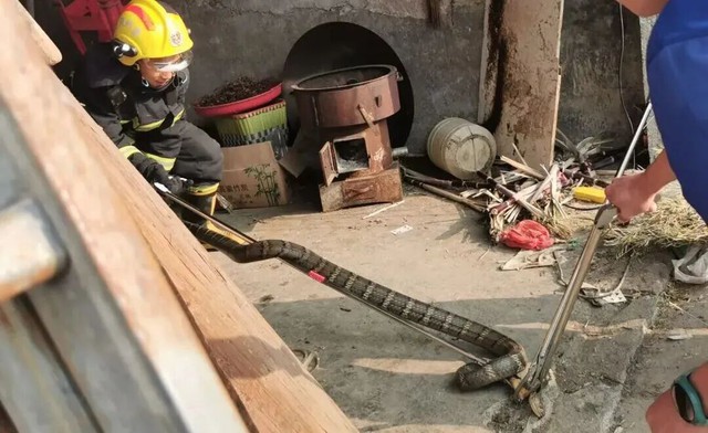 Chi tiết bất thường ở nhà hàng xóm khiến người đàn ông vội gọi cảnh sát: Sự thật khiến ai cũng rùng mình - Ảnh 3.