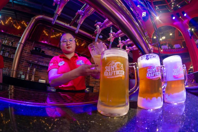 Công trình ven biển Việt Nam lập kỷ lục thế giới, chuyên gia Guinness thốt lên: "Chưa thấy nơi thứ hai" - Ảnh 3.