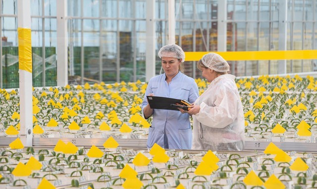 Nga dốc sức cho một lĩnh vực "bùng nổ 30.000 tỷ USD" toàn cầu, quyết giành vị thế dẫn đầu thế giới - Ảnh 3.