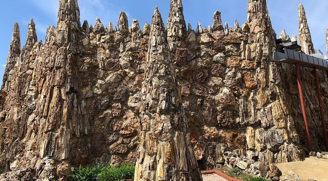 Loại gỗ tuổi thọ hàng triệu năm, đứng sau kim cương: Giá hơn 600 tỷ đồng, Việt Nam có một khối 8 tấn - Ảnh 3.