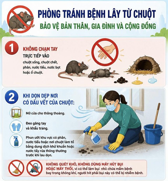 Cảnh báo: Hành động khiến virus Hanta lây trực tiếp sang người, nhiều người đang làm hàng ngày - Ảnh 3.