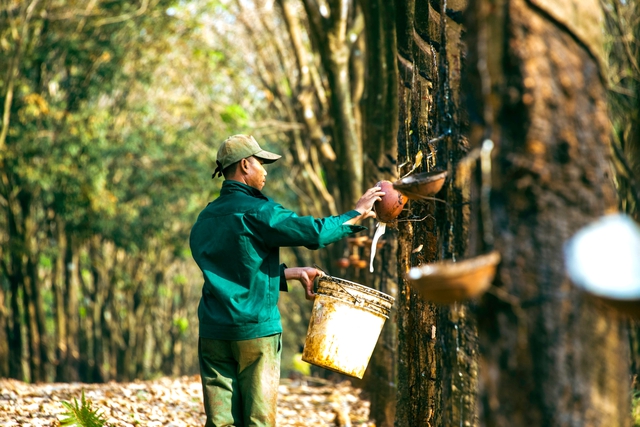 "Mỏ kho báu trắng" trải trên 3 nước của Tập đoàn Việt: Góp phần đưa Việt Nam vào Top 3 thế giới - Ảnh 1.